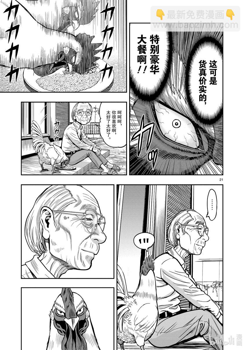 🍴鸡斗士 第1只 兽聚鸟散 第24页