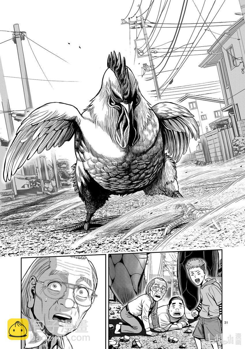 🍴鸡斗士 第1只 兽聚鸟散 第34页