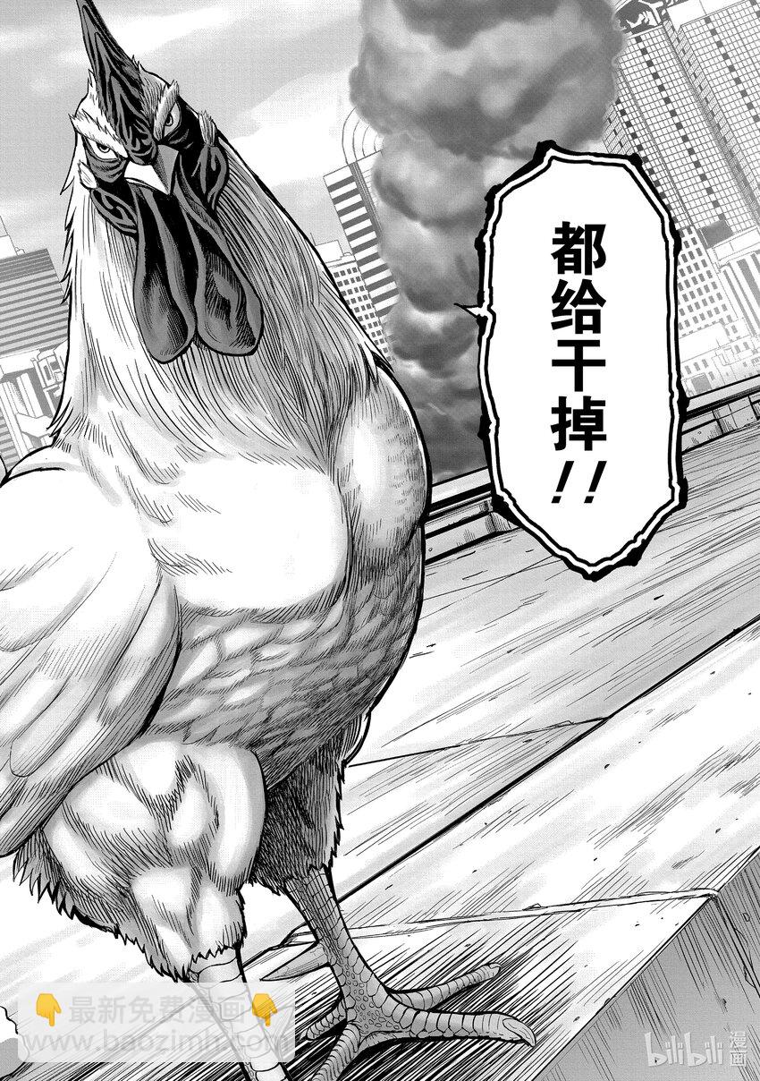 🍴鸡斗士 第1只 兽聚鸟散 第7页