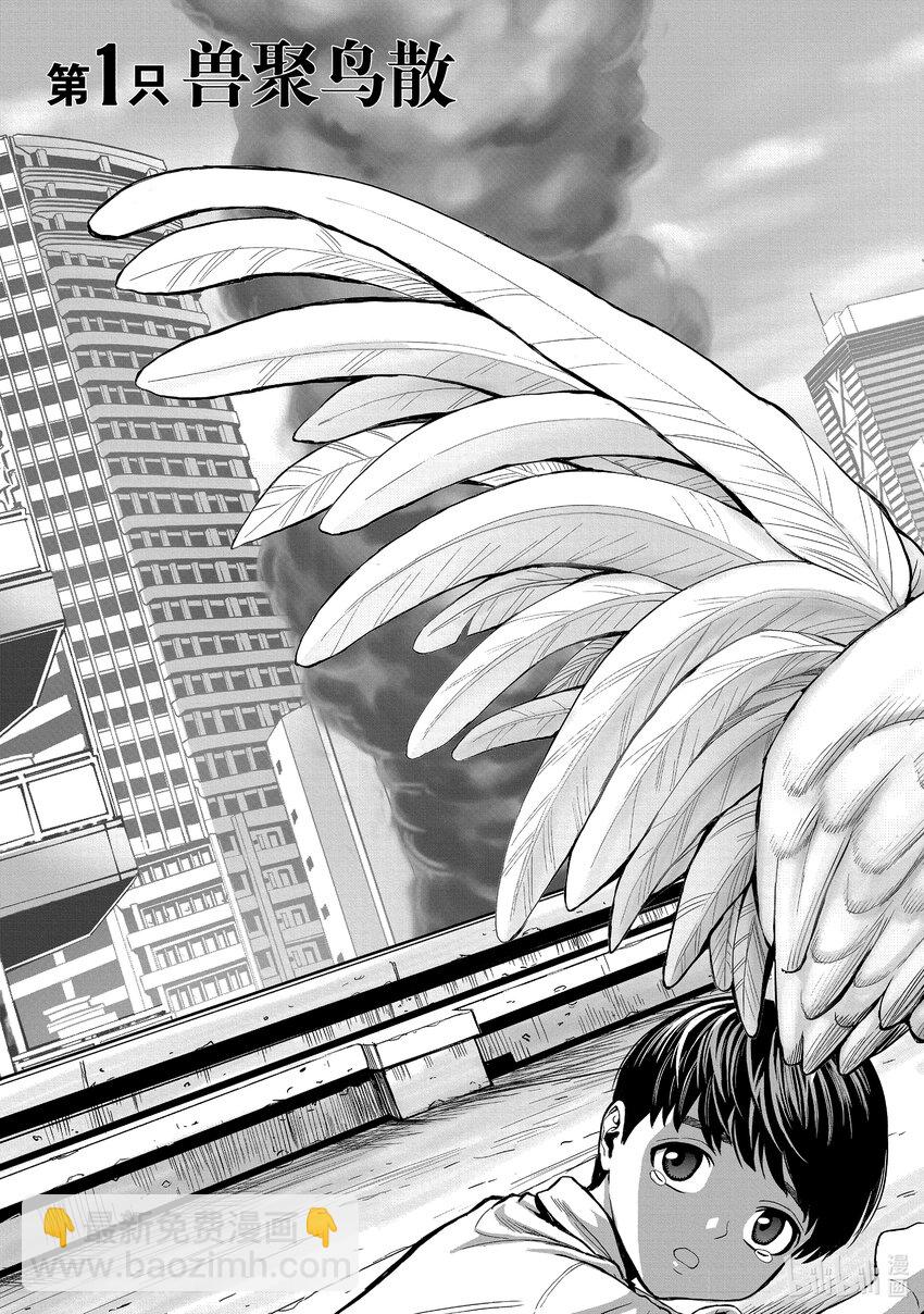 🍴鸡斗士 第1只 兽聚鸟散 第8页
