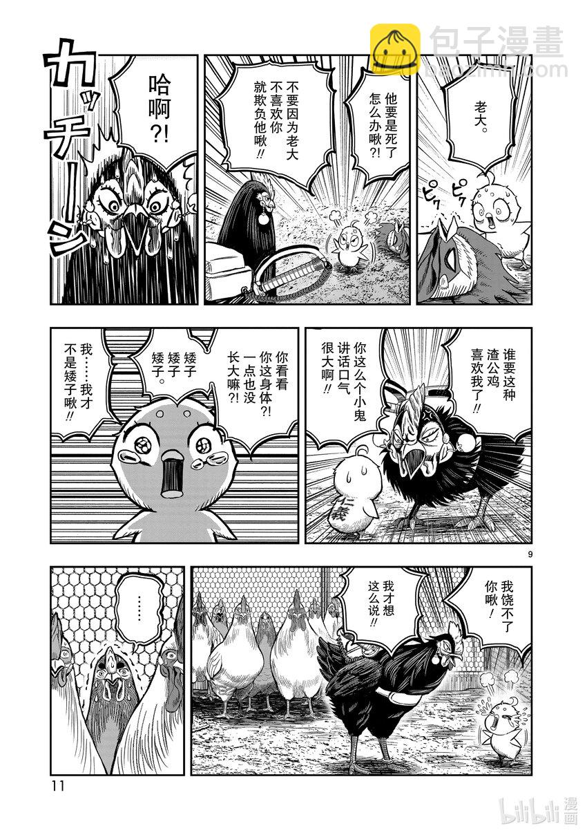 🍴鸡斗士 第11只 鸟尽弓藏 第12页