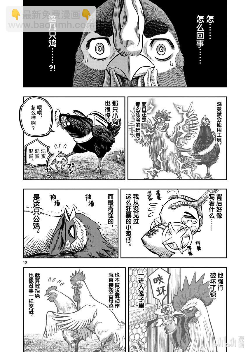 🍴鸡斗士 第11只 鸟尽弓藏 第13页