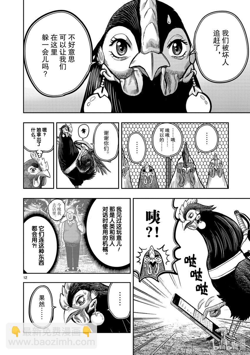 🍴鸡斗士 第11只 鸟尽弓藏 第15页
