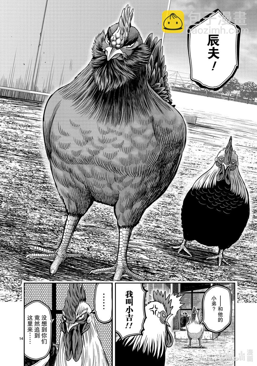 🍴鸡斗士 第11只 鸟尽弓藏 第17页