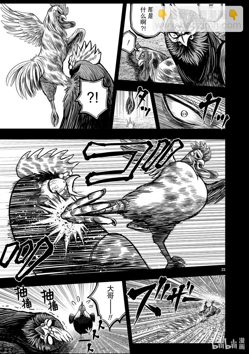 🍴鸡斗士 第11只 鸟尽弓藏 第26页