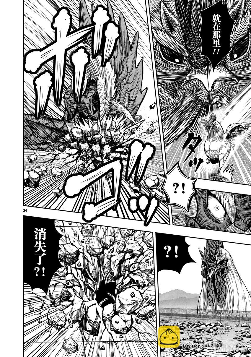 🍴鸡斗士 第11只 鸟尽弓藏 第37页