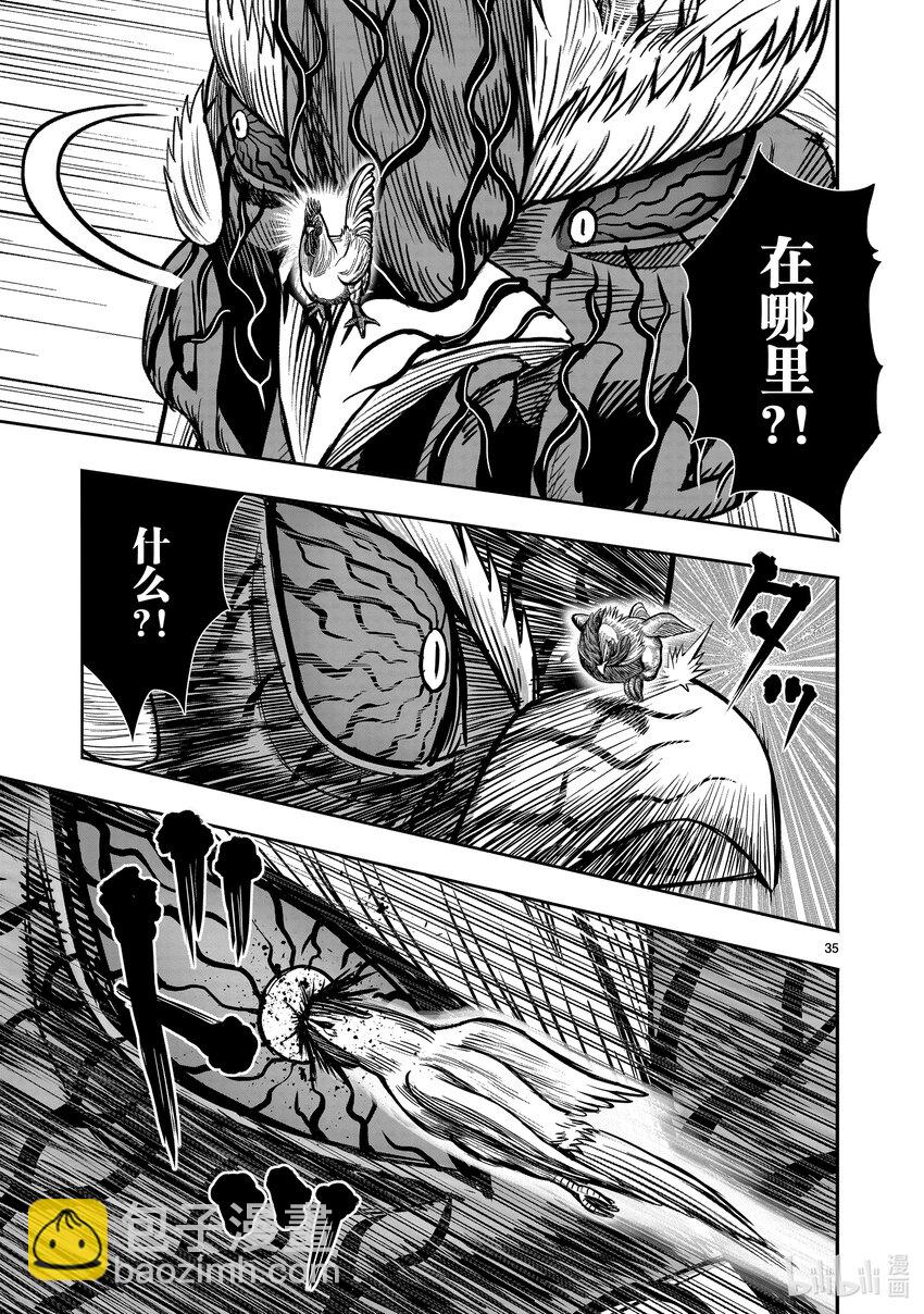 🍴鸡斗士 第11只 鸟尽弓藏 第38页