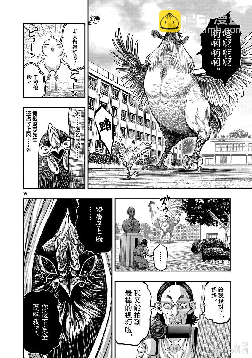 🍴鸡斗士 第11只 鸟尽弓藏 第39页