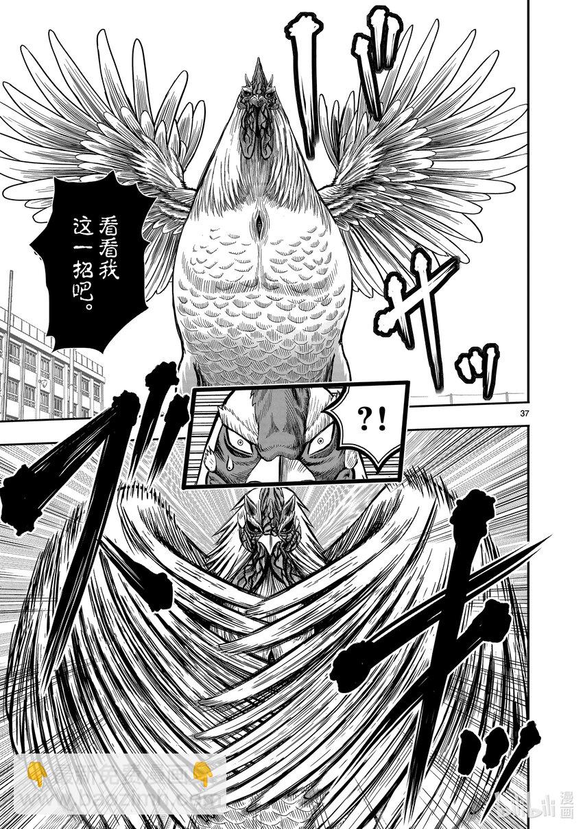 🍴鸡斗士 第11只 鸟尽弓藏 第40页