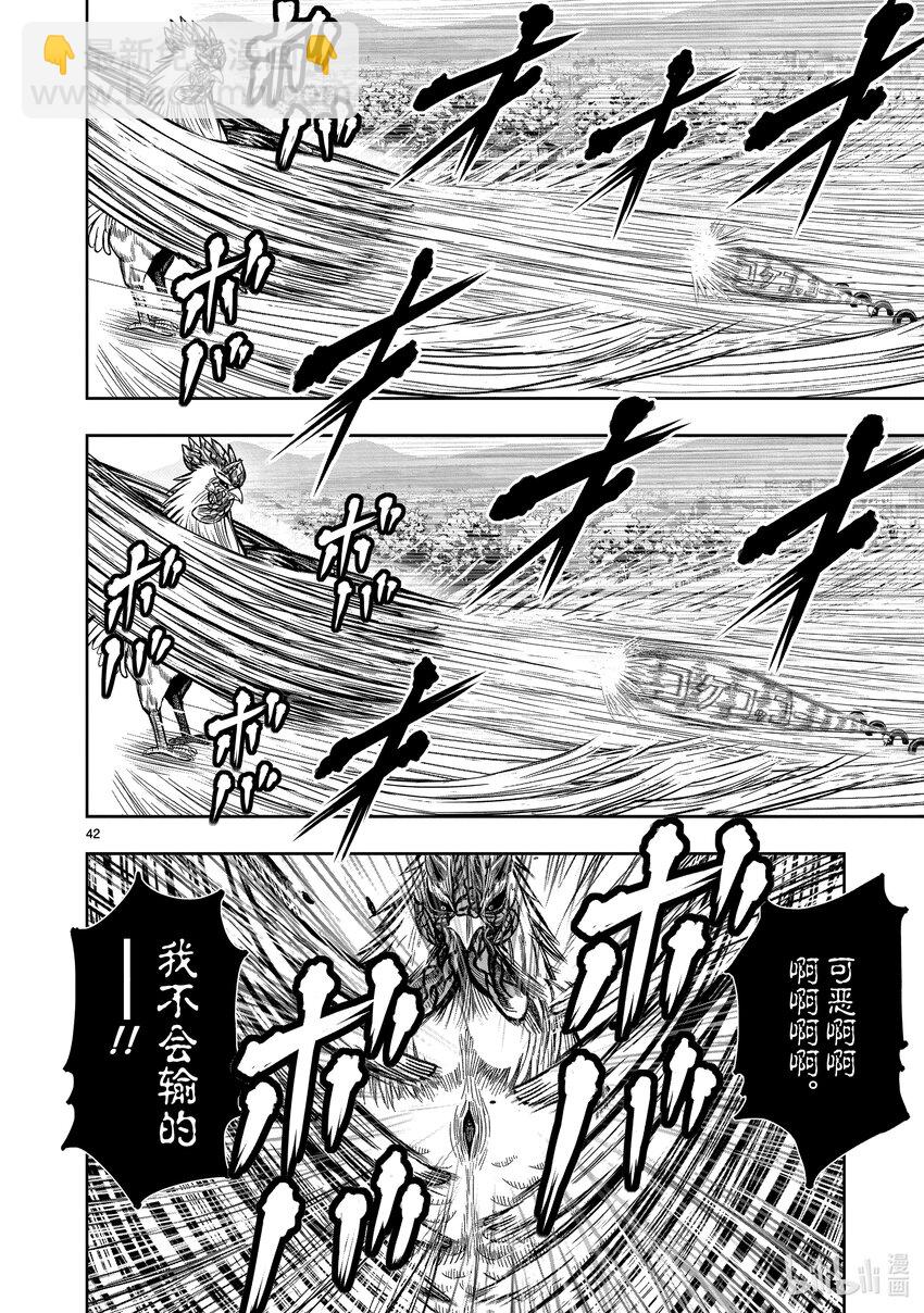🍴鸡斗士 第11只 鸟尽弓藏 第45页