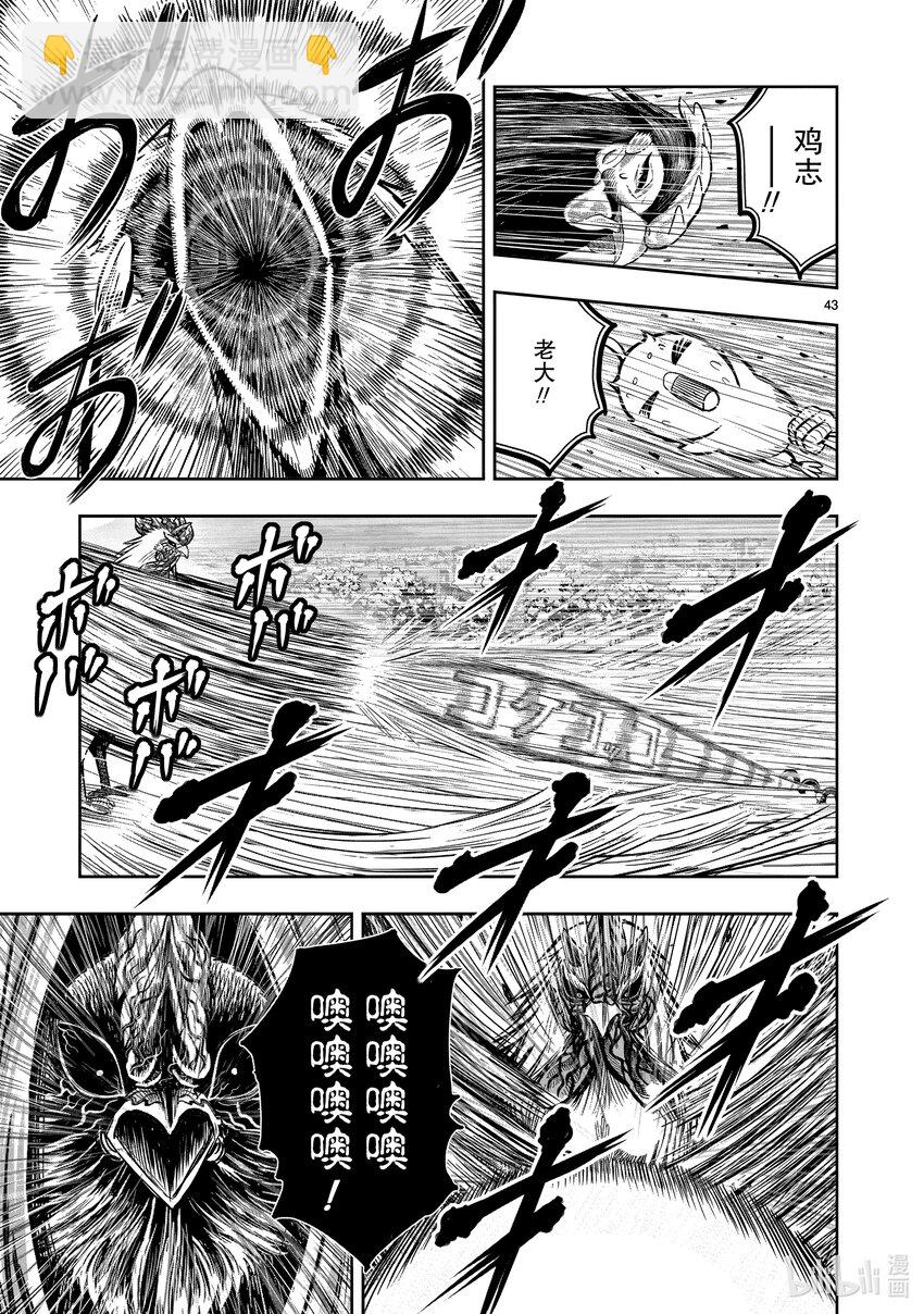 🍴鸡斗士 第11只 鸟尽弓藏 第46页
