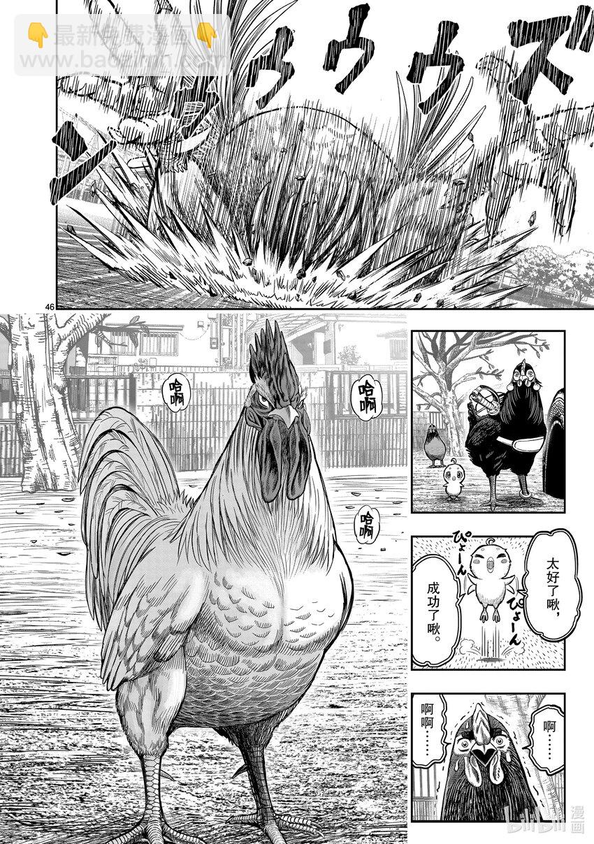 🍴鸡斗士 第11只 鸟尽弓藏 第49页