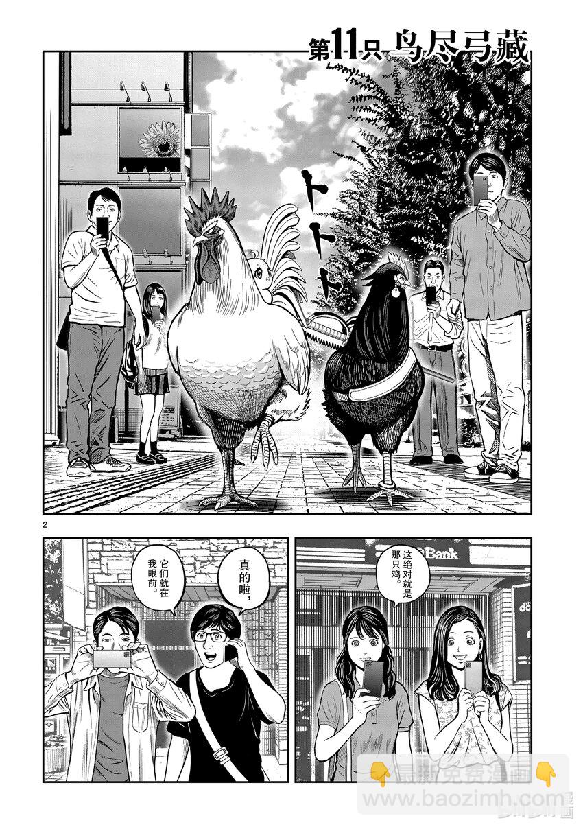 🍴鸡斗士 第11只 鸟尽弓藏 第5页