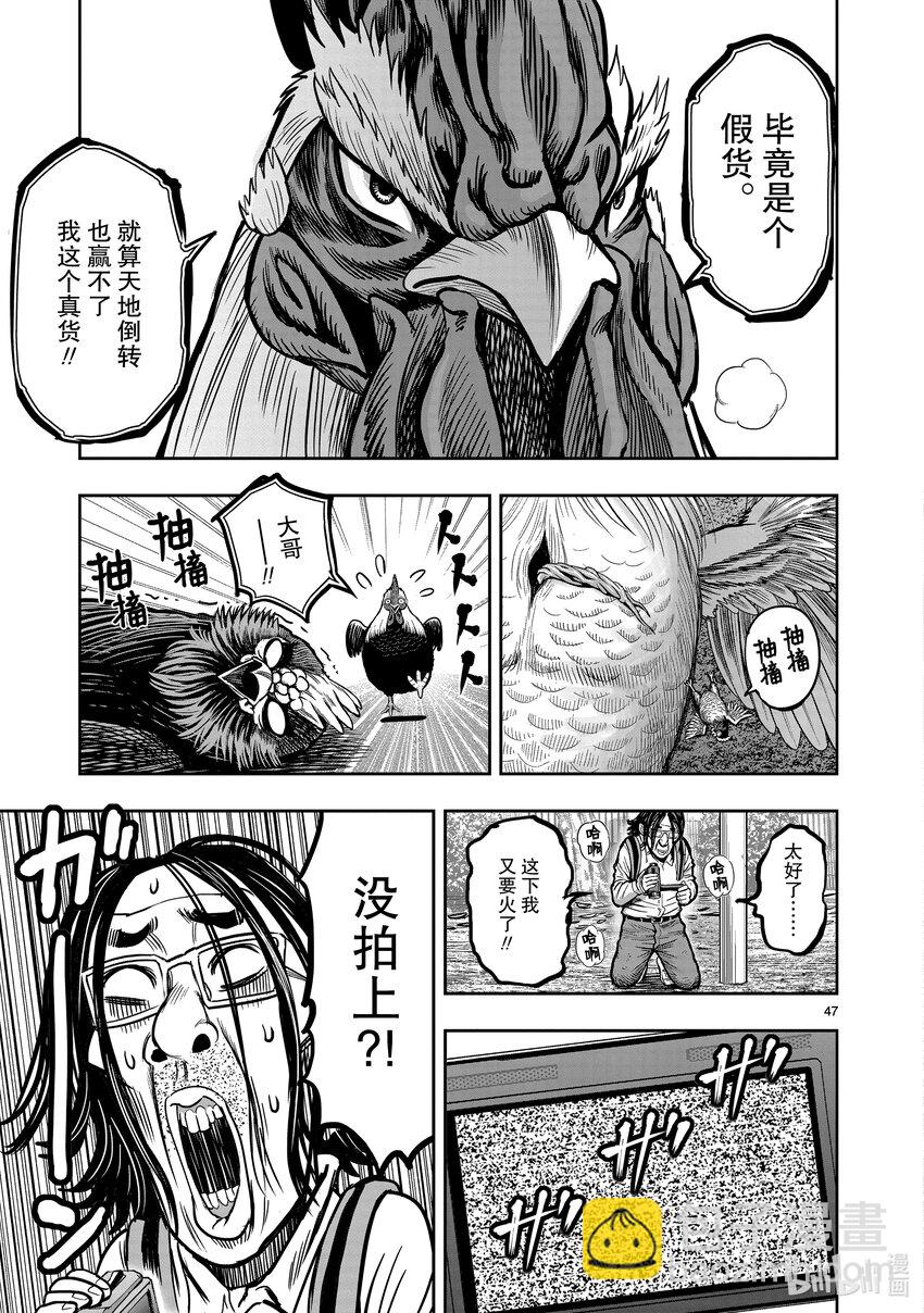 🍴鸡斗士 第11只 鸟尽弓藏 第50页