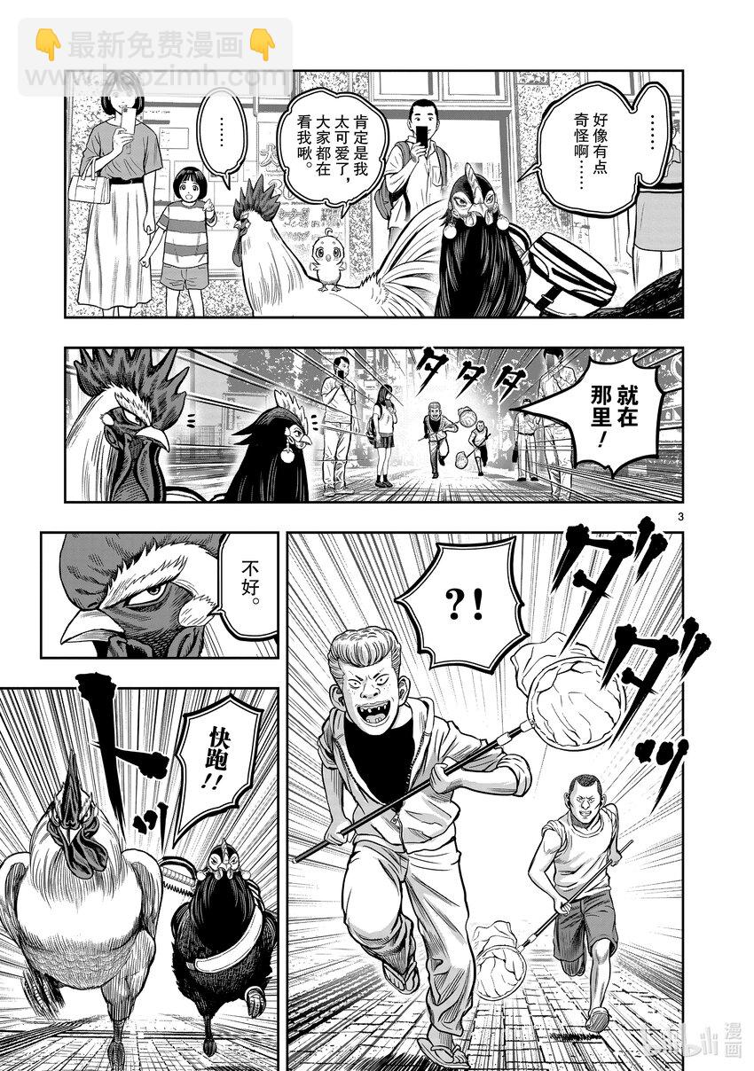 🍴鸡斗士 第11只 鸟尽弓藏 第6页