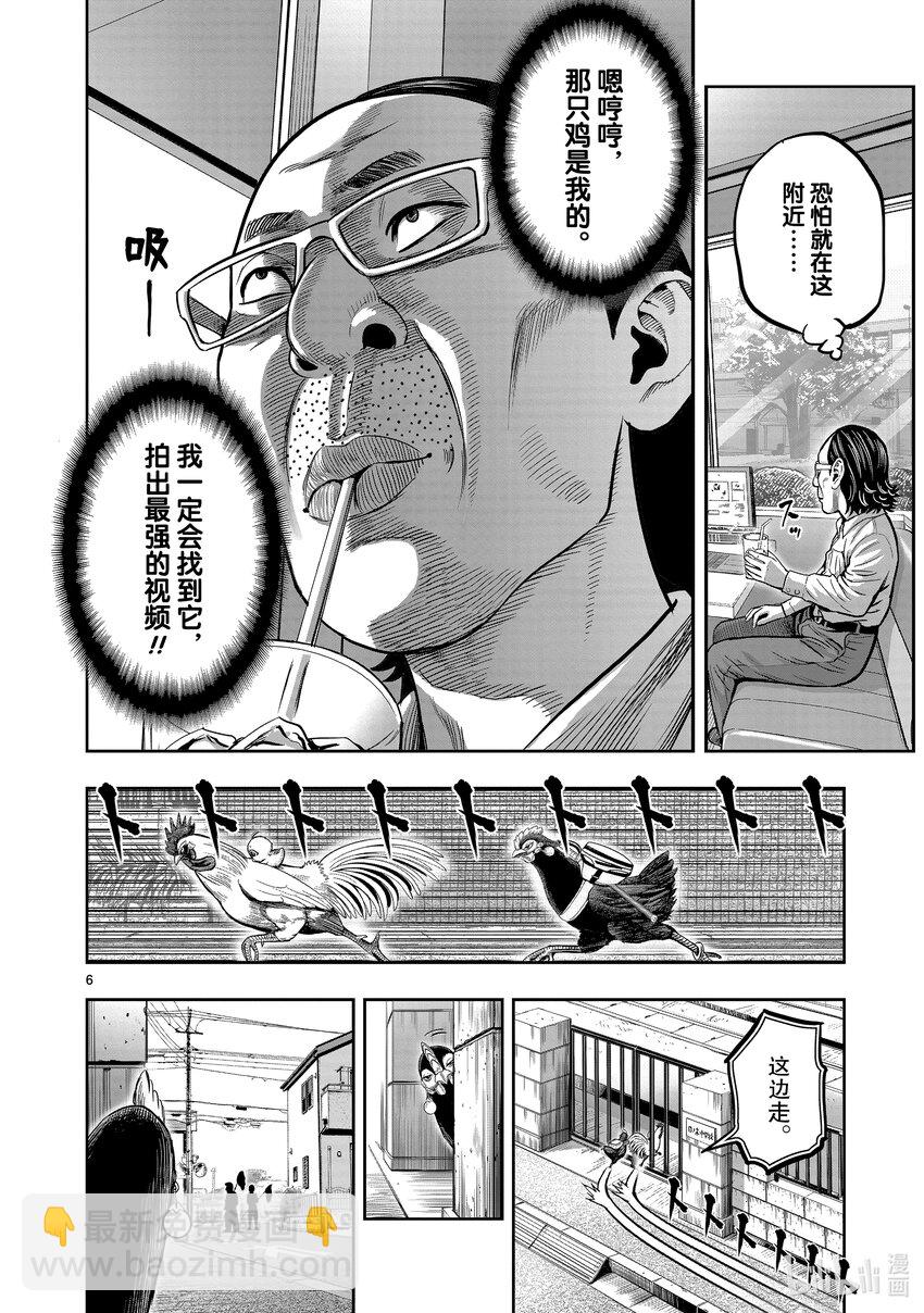 🍴鸡斗士 第11只 鸟尽弓藏 第9页