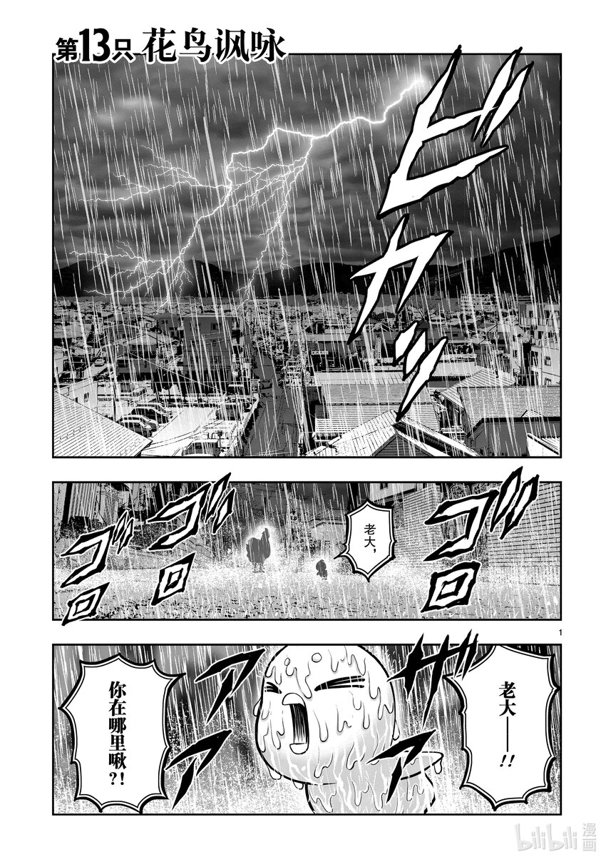 🍴鸡斗士 第13只 花鸟讽咏 第1页