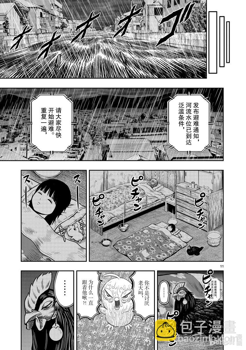 🍴鸡斗士 第13只 花鸟讽咏 第11页