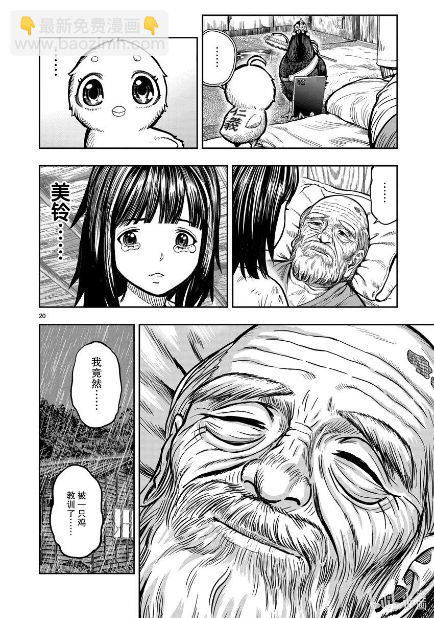 🍴鸡斗士 第13只 花鸟讽咏 第20页
