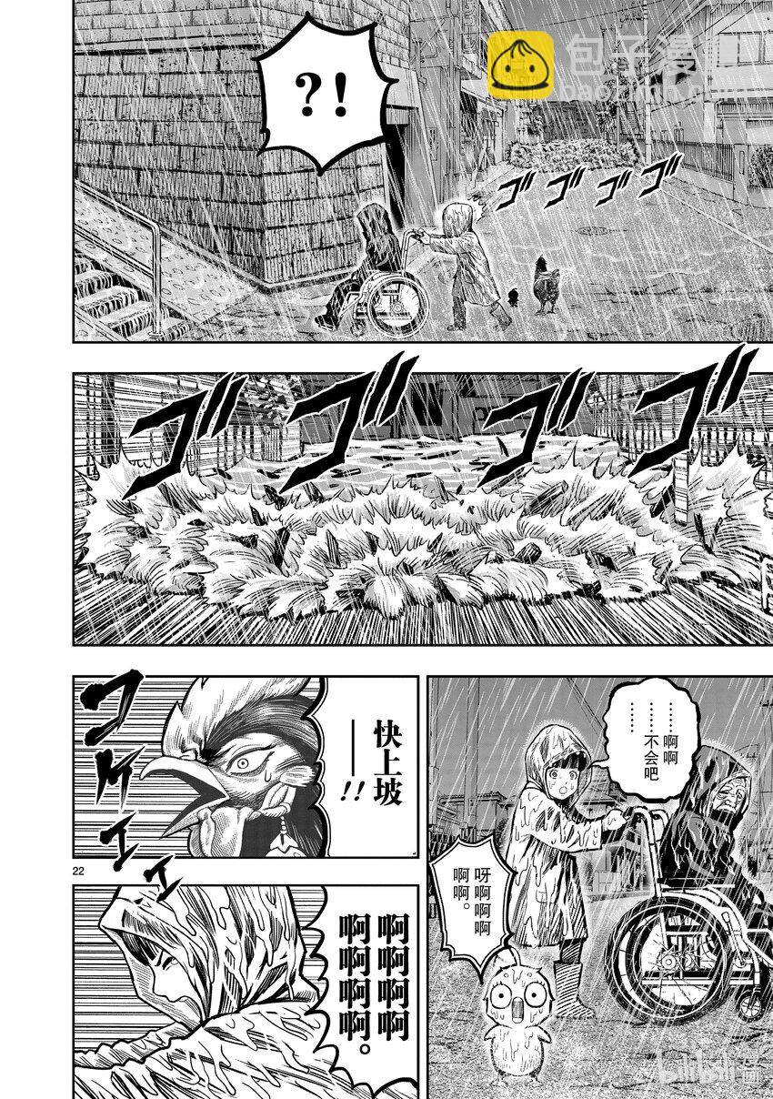 🍴鸡斗士 第13只 花鸟讽咏 第22页