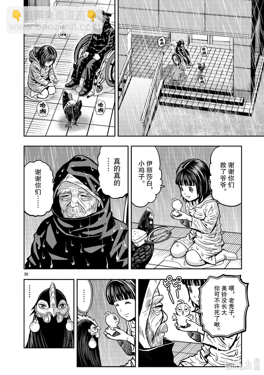 🍴鸡斗士 第13只 花鸟讽咏 第30页