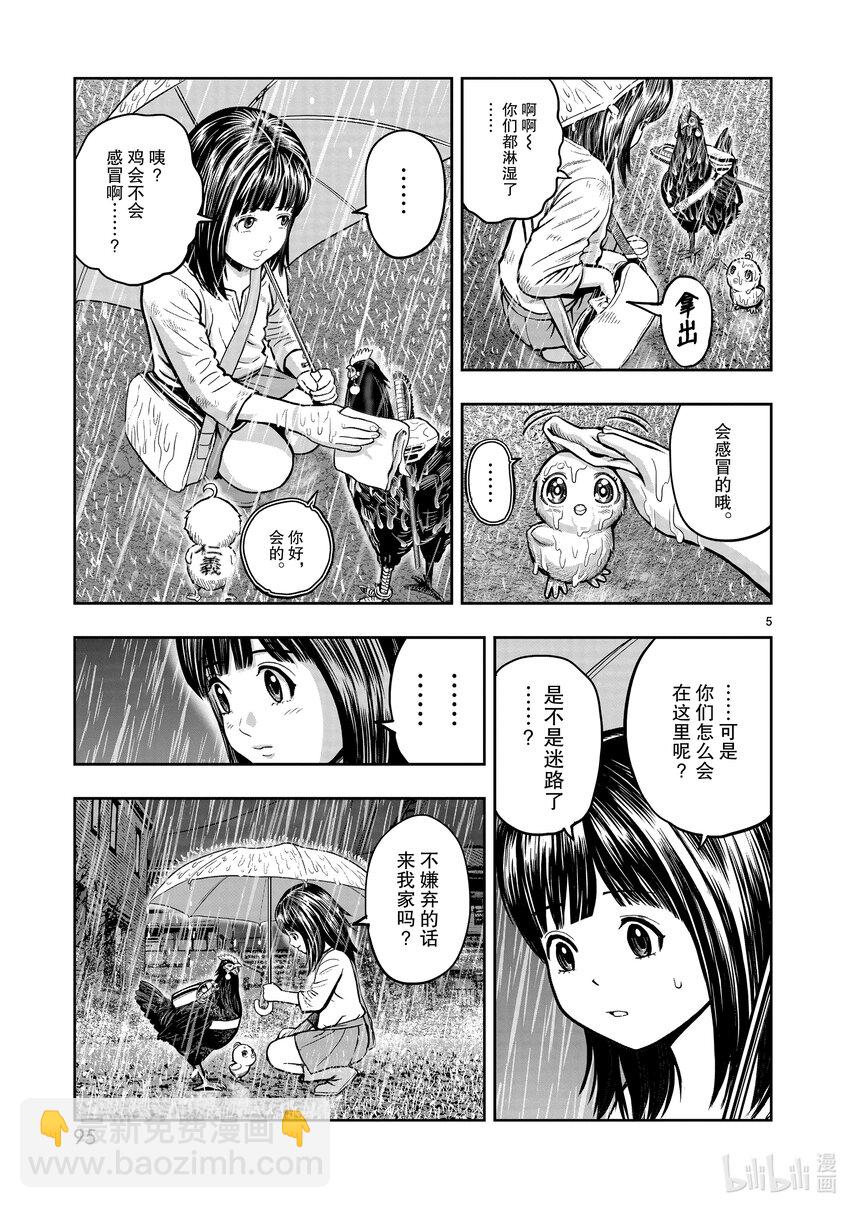 🍴鸡斗士 第13只 花鸟讽咏 第5页