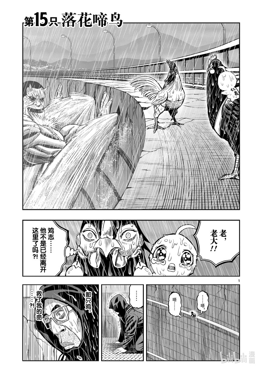 🍴鸡斗士 第15只 落花啼鸟 第1页