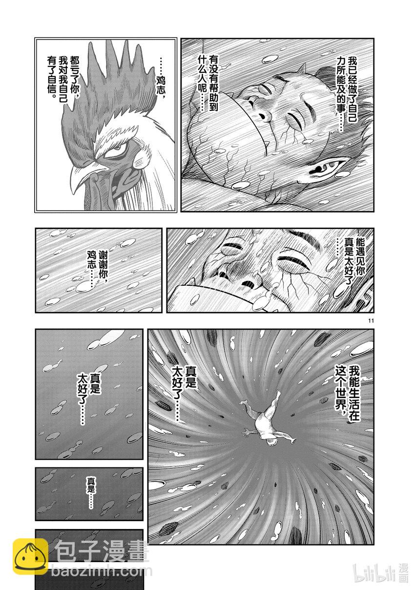 🍴鸡斗士 第15只 落花啼鸟 第11页