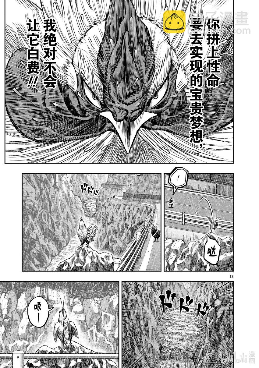 🍴鸡斗士 第15只 落花啼鸟 第13页