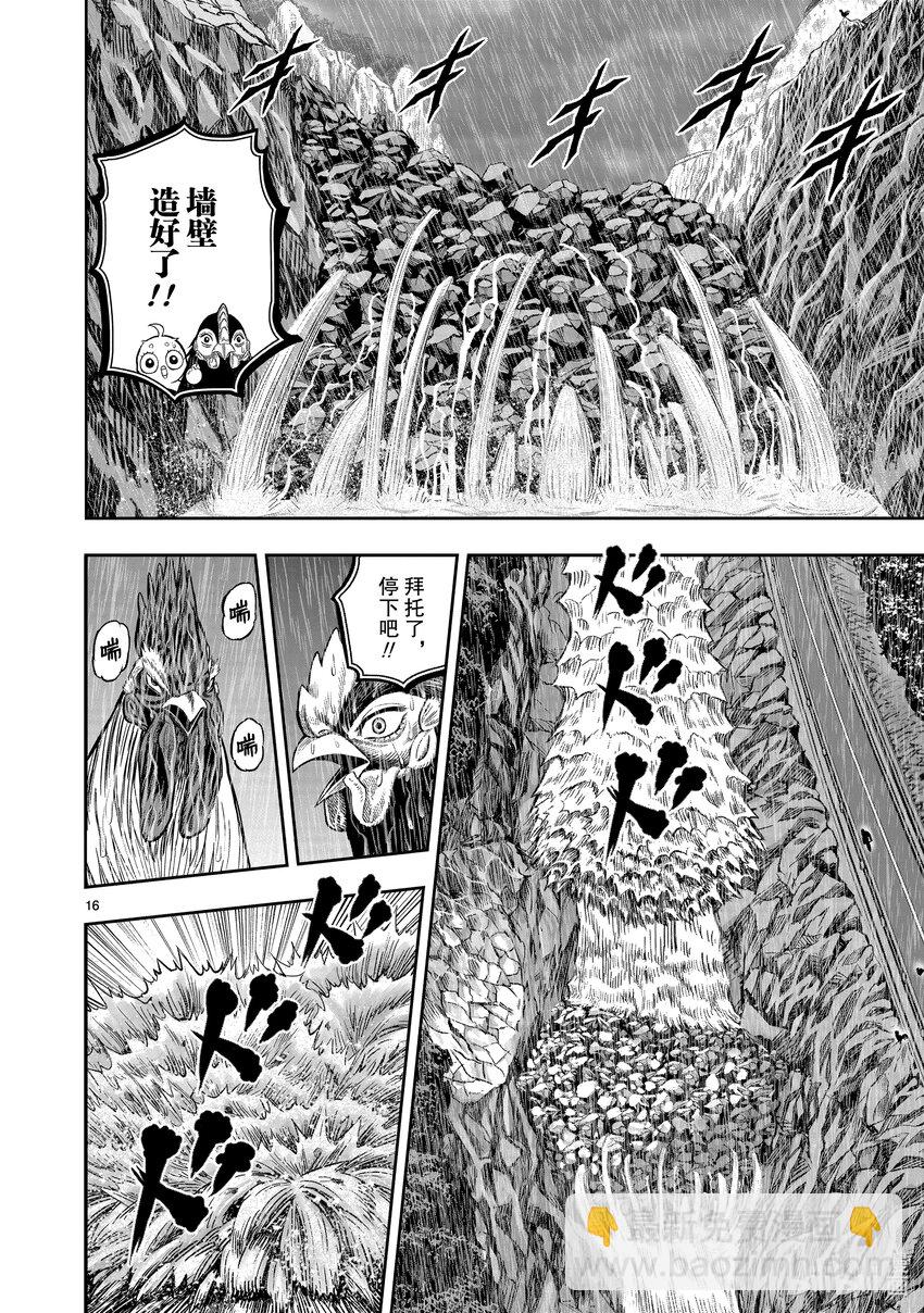 🍴鸡斗士 第15只 落花啼鸟 第16页