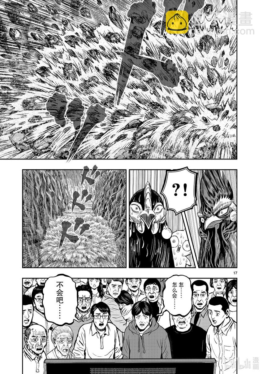 🍴鸡斗士 第15只 落花啼鸟 第17页
