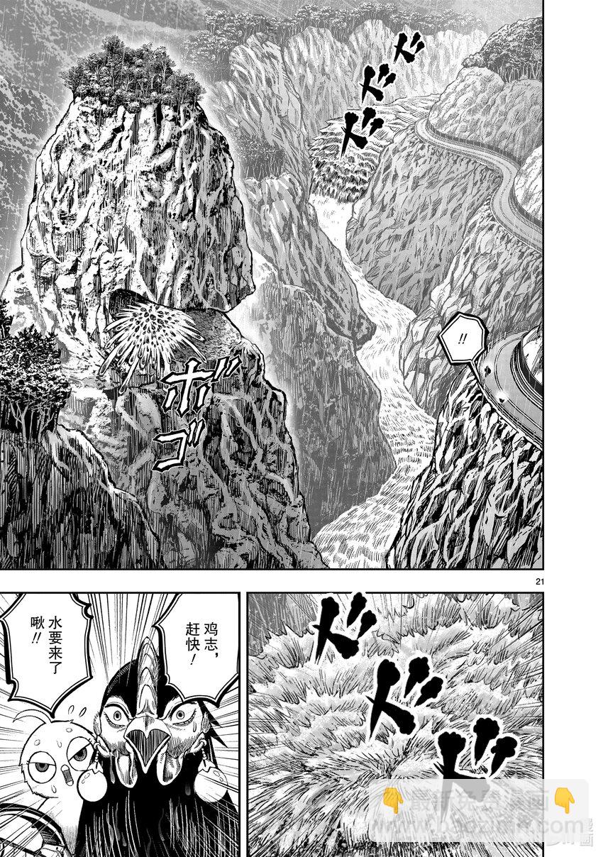 🍴鸡斗士 第15只 落花啼鸟 第21页