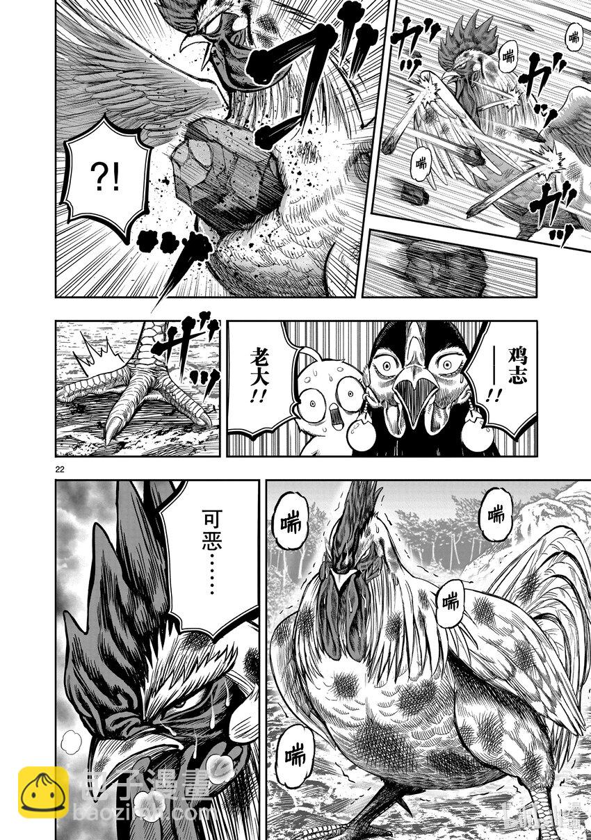 🍴鸡斗士 第15只 落花啼鸟 第22页