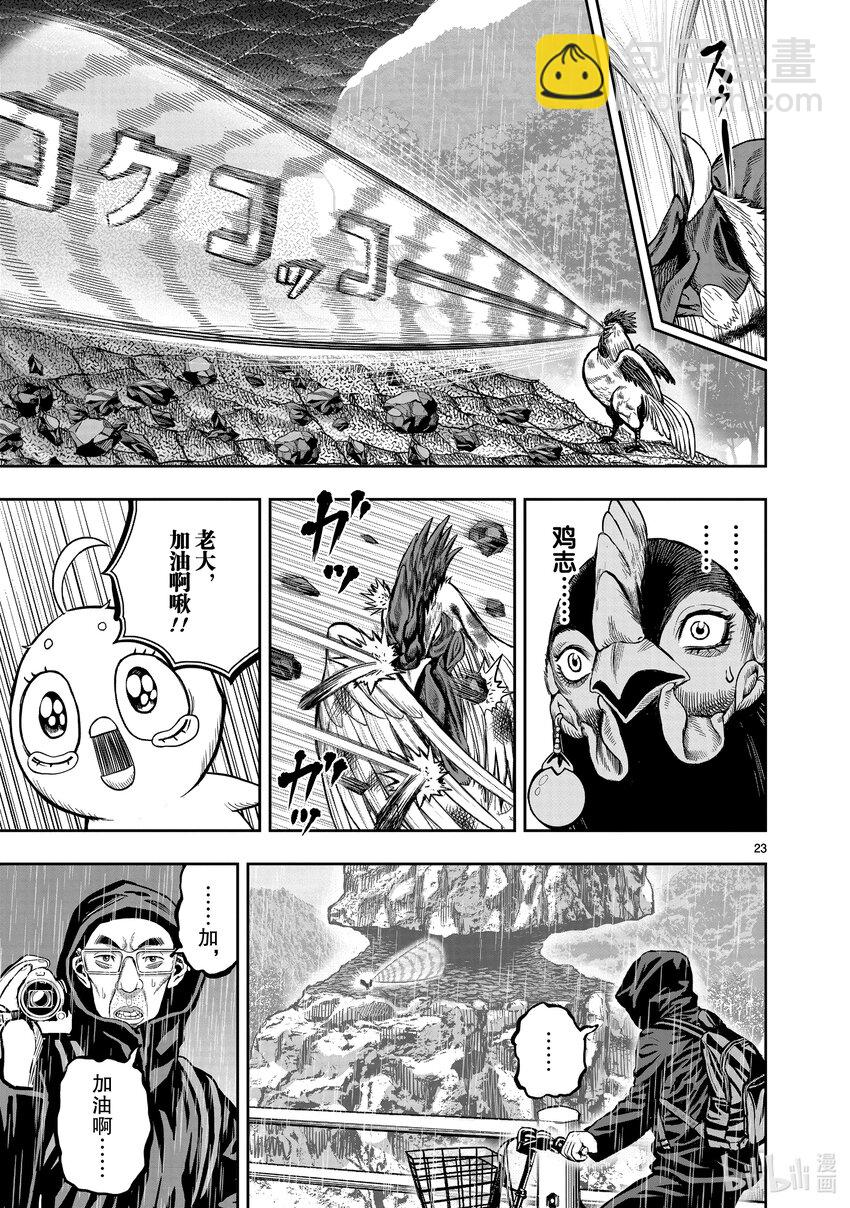 🍴鸡斗士 第15只 落花啼鸟 第23页