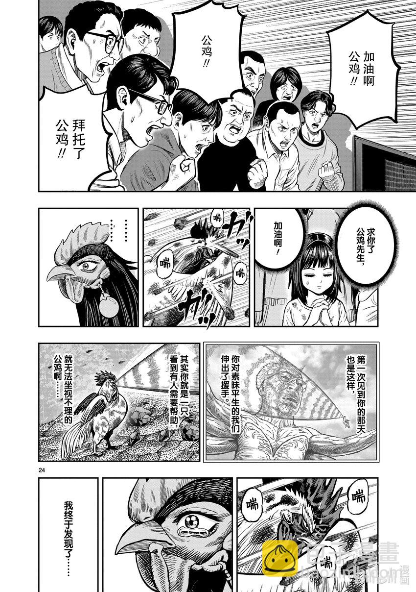 🍴鸡斗士 第15只 落花啼鸟 第24页