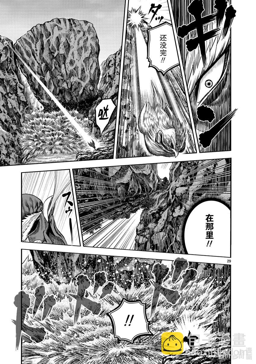🍴鸡斗士 第15只 落花啼鸟 第29页