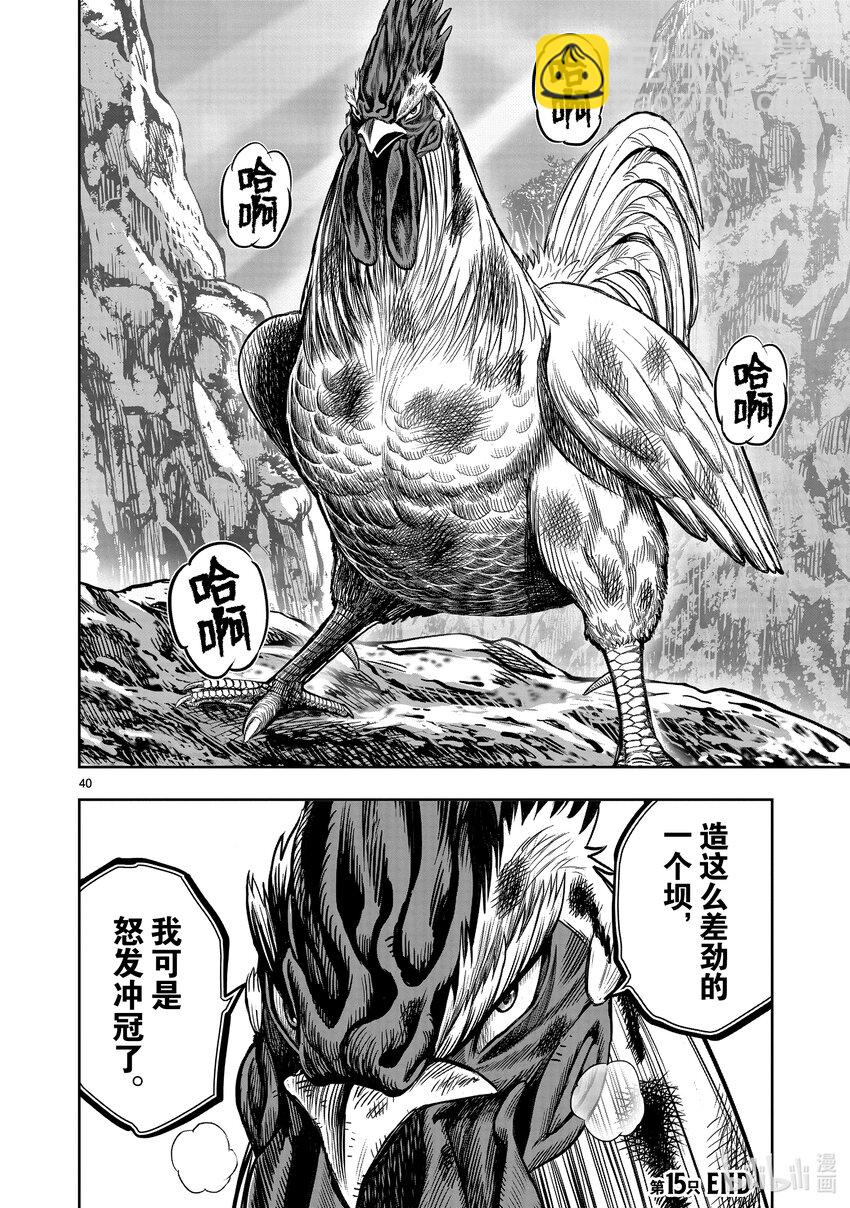 🍴鸡斗士 第15只 落花啼鸟 第40页