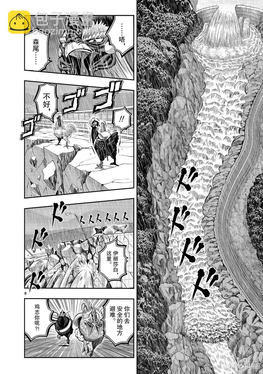 🍴鸡斗士 第15只 落花啼鸟 第8页