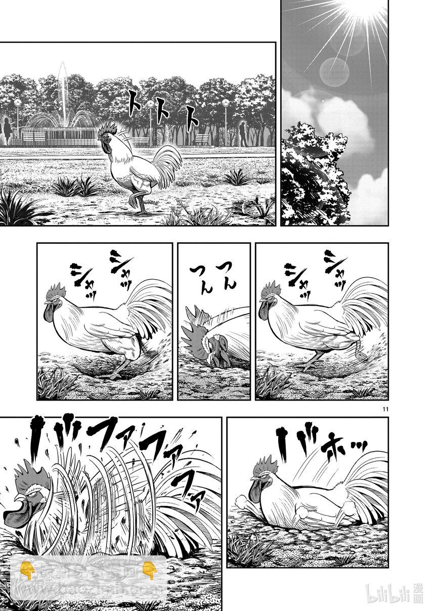 🍴鸡斗士 第17只 鸡鸣狗盗 第11页