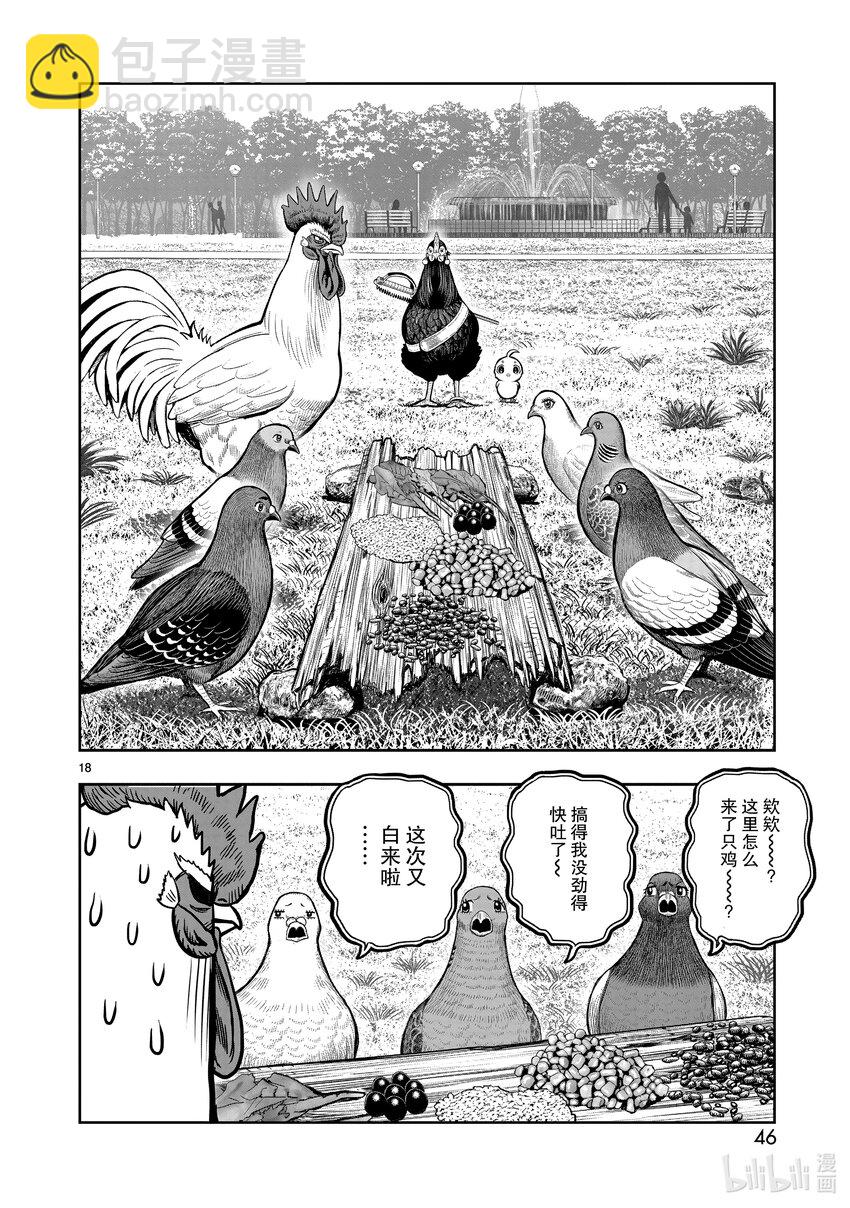 🍴鸡斗士 第17只 鸡鸣狗盗 第18页