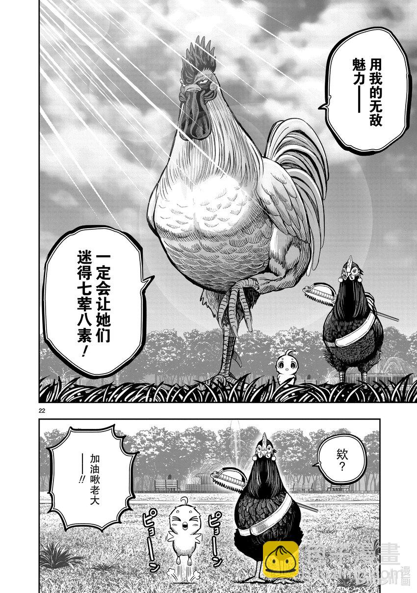 🍴鸡斗士 第17只 鸡鸣狗盗 第22页