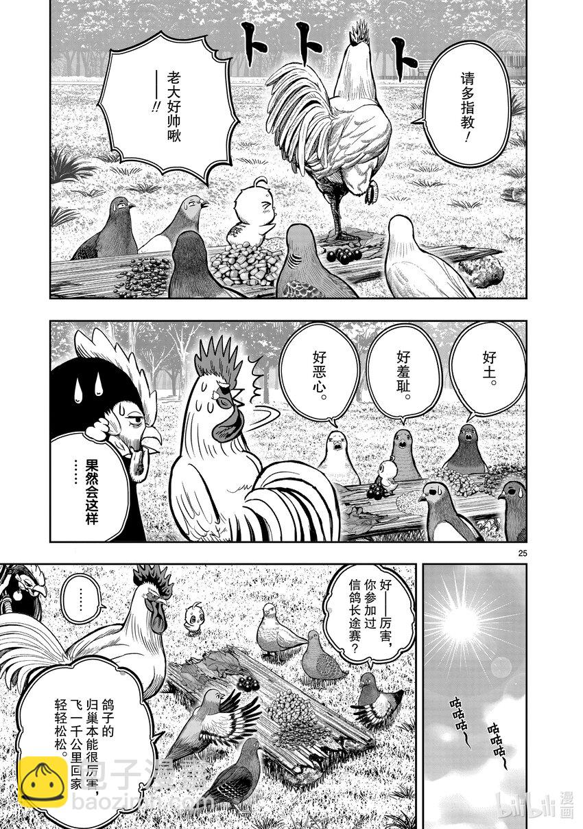 🍴鸡斗士 第17只 鸡鸣狗盗 第25页