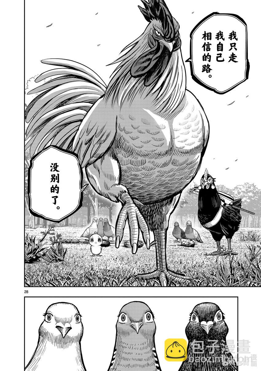 🍴鸡斗士 第17只 鸡鸣狗盗 第28页
