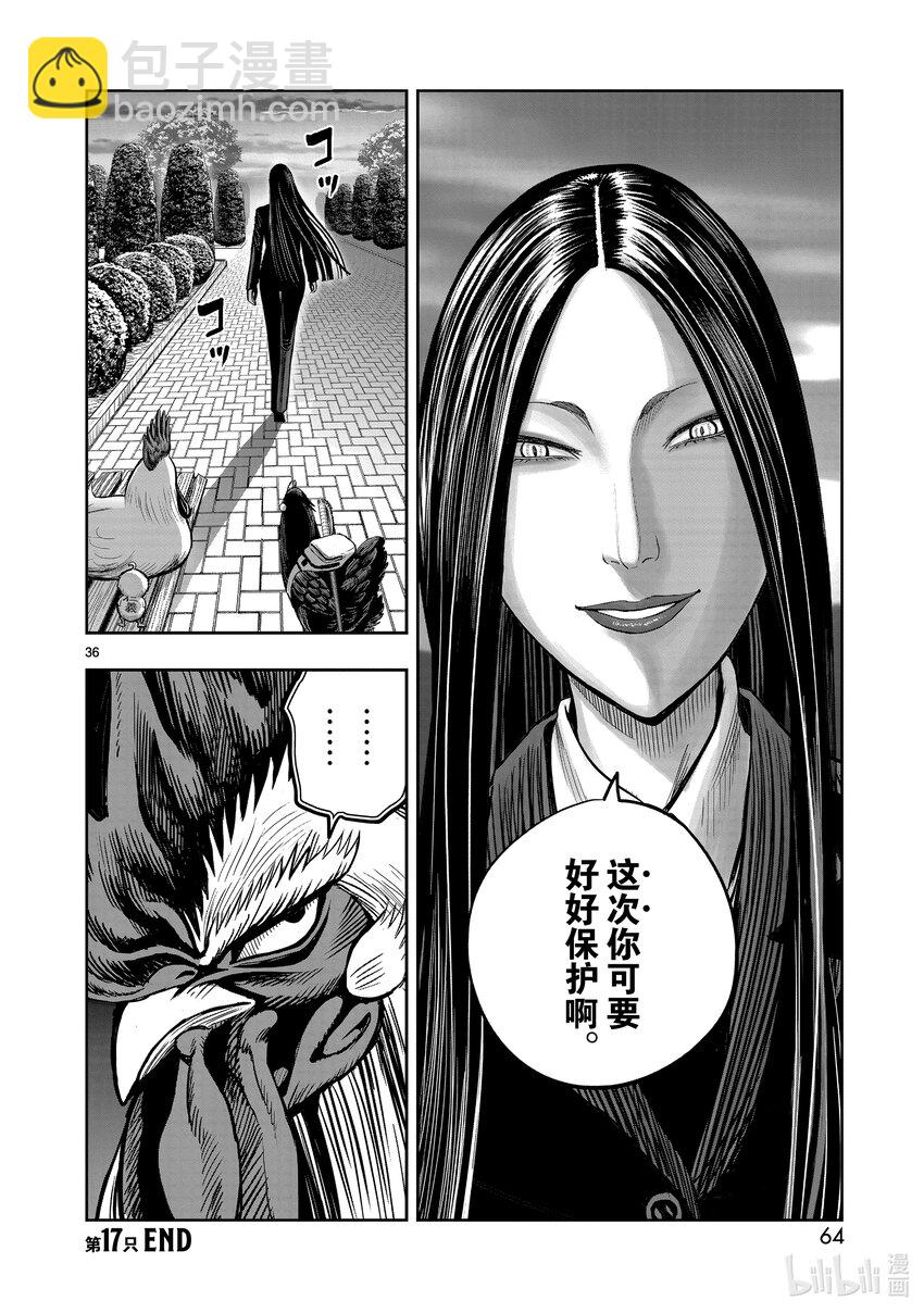 🍴鸡斗士 第17只 鸡鸣狗盗 第36页