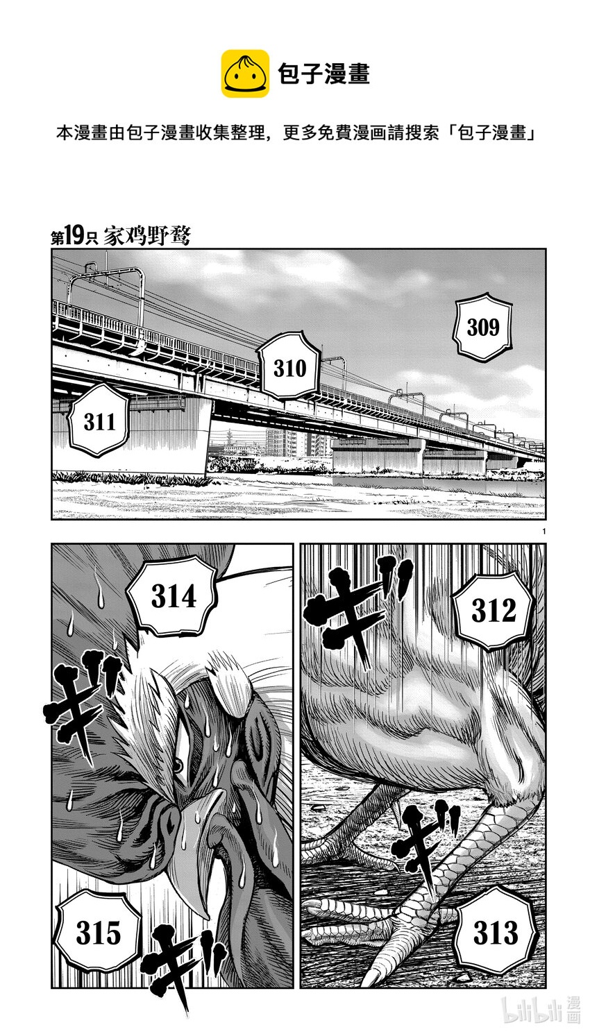 🍴鸡斗士 第19只 家鸡野鹜 第1页
