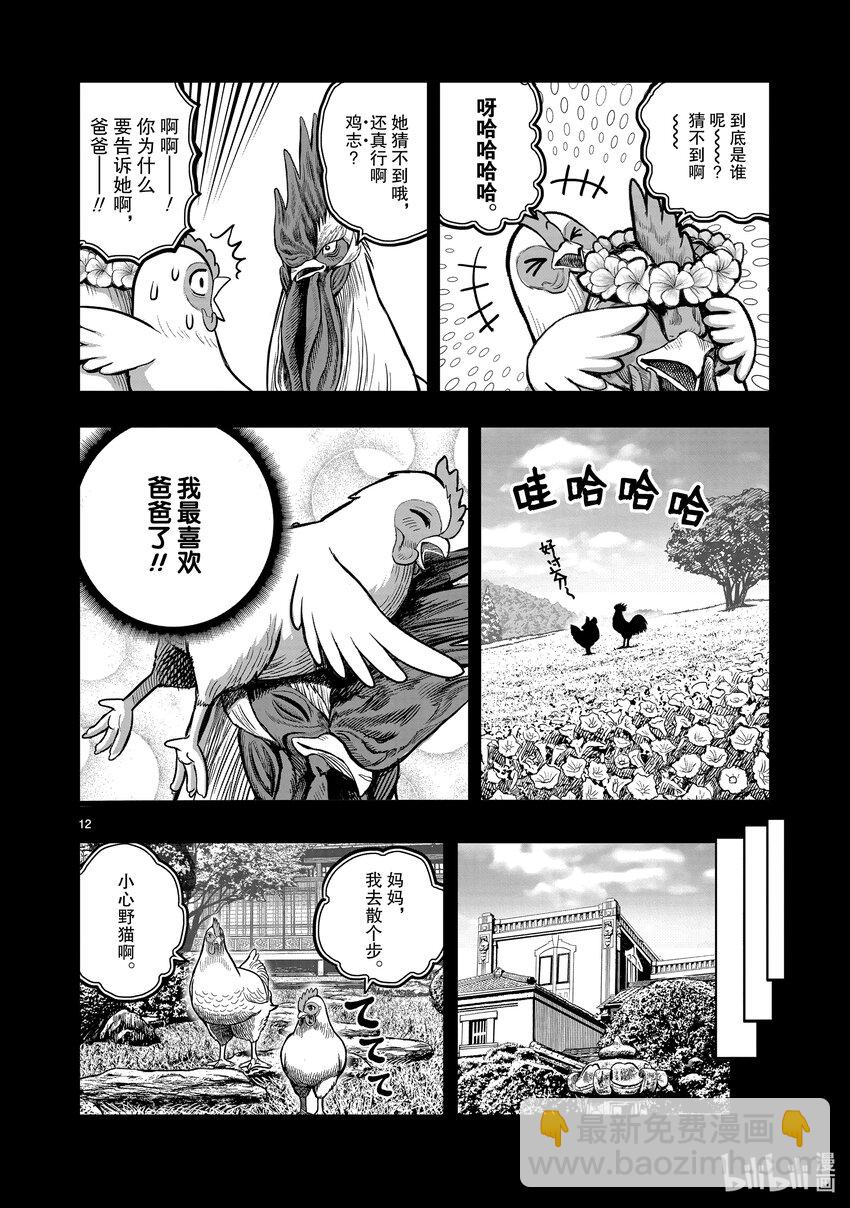 🍴鸡斗士 第19只 家鸡野鹜 第12页