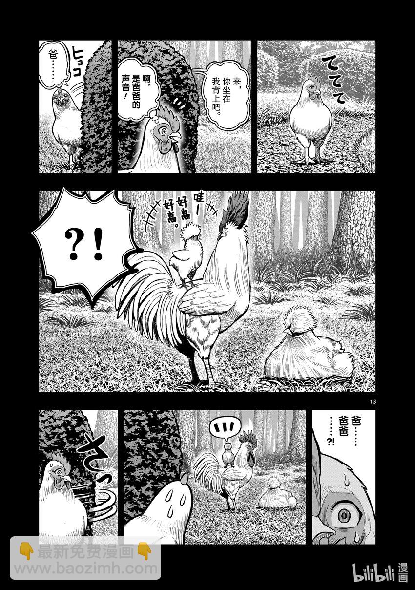 🍴鸡斗士 第19只 家鸡野鹜 第13页