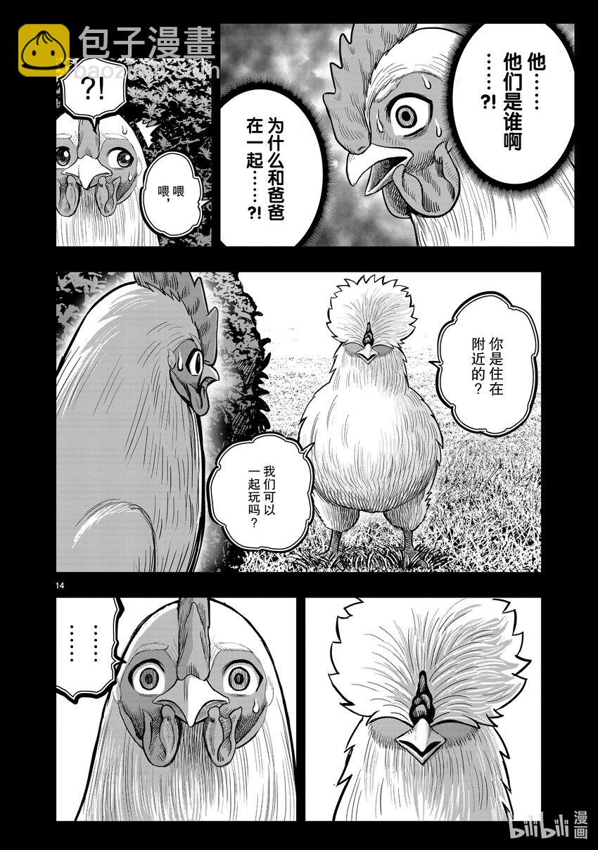 🍴鸡斗士 第19只 家鸡野鹜 第14页