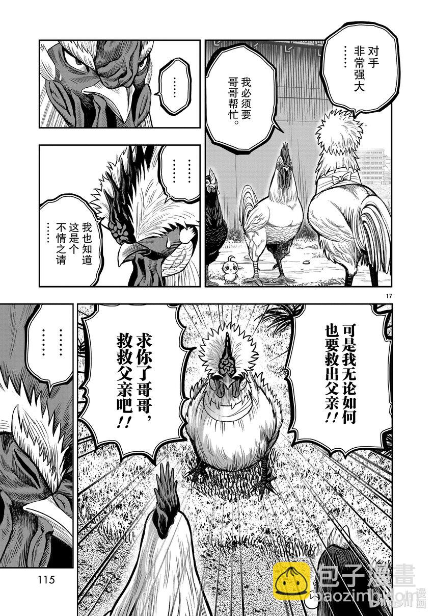 🍴鸡斗士 第19只 家鸡野鹜 第17页