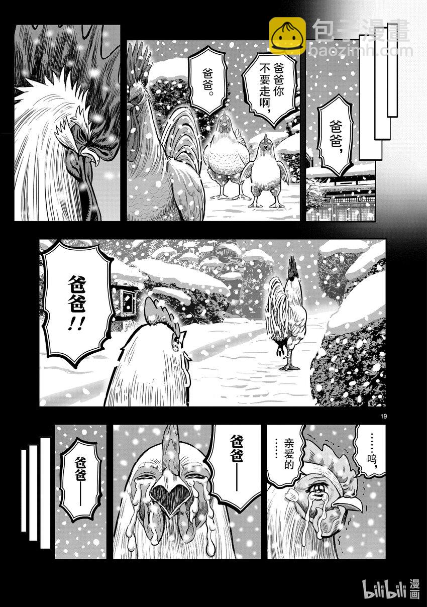 🍴鸡斗士 第19只 家鸡野鹜 第19页